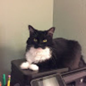 Meet your Posher, Pamala